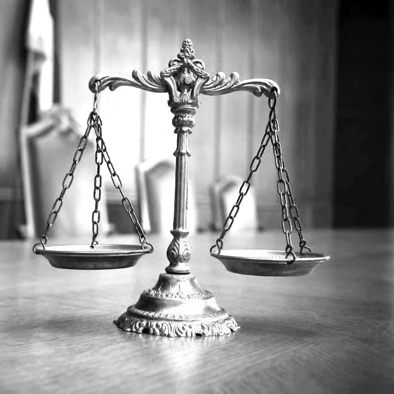 Представительство в суде<br><br>